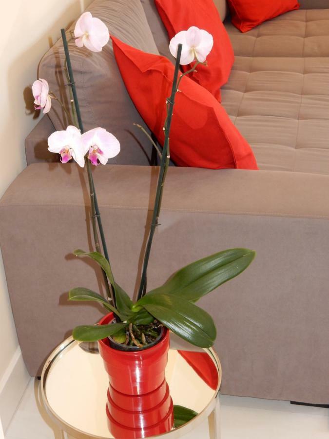 Beach & Sea Apt, Fast Wifi, Airco, Private Parking And Pool 포티마오 외부 사진